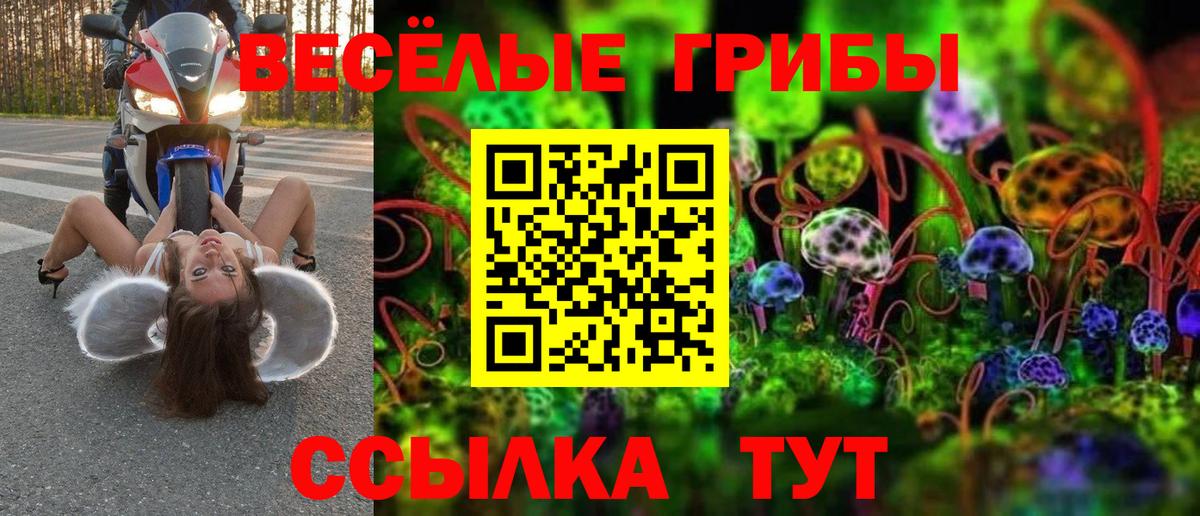 Галлюциногенные грибы GOLDEN TEACHER Чехов