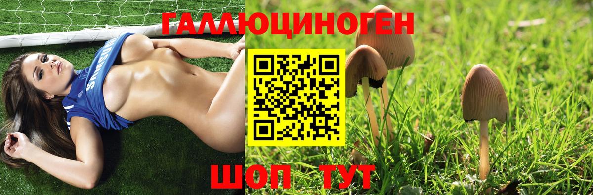 Чехов  Псилоцибиновые грибы GOLDEN TEACHER  сколько стоит  Вход с VPN 
